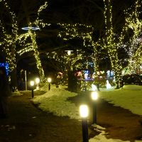 イルミネーション３