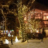 イルミネーション４