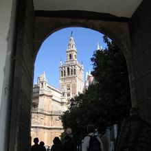 アルカサルからみたカテドラル