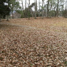 後円部　落ち葉が積もった何もない平地