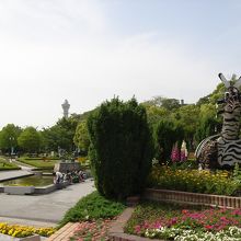 天王寺動物園が近くにあるのでシマウマ