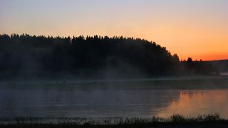 夏に動物を見るなら、やっぱり夜明けの時刻　