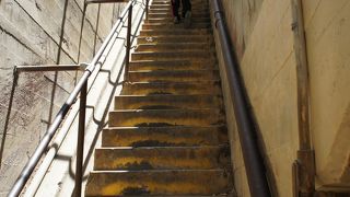 頂上からの景色は最高でした　（途中までは車椅子も可能です）