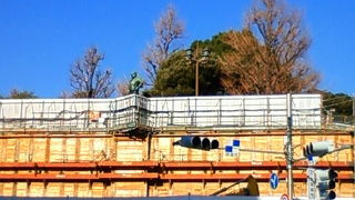 こんなところから今お顔が見えます。