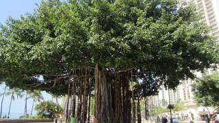 やっぱり外せない通り