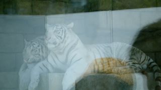 県内最大級の動物園