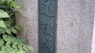 道頓堀川に架かる橋！