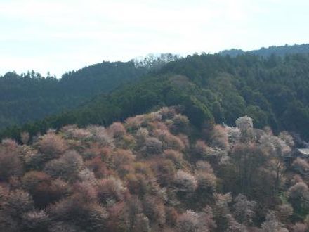 花あかりの宿 戎舘 写真