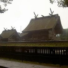 いまの社殿も高い建物です