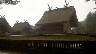 出雲大社　そびえる高殿