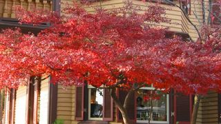 黄色でかわいい異人館