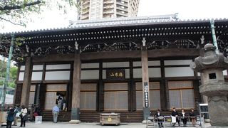 ホントに見どころ一杯