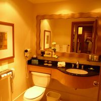 洗面、たいへんきれいでつかいやすい