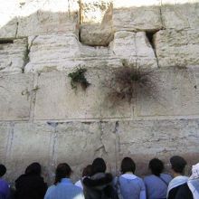 女性側の嘆きの壁