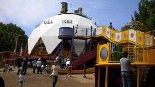 自然がいっぱいの国営公園。　アスレチック、サイクリング、お花見、ピクニックなど色々楽しめます。