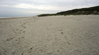 遠州灘を望む雄大な砂丘