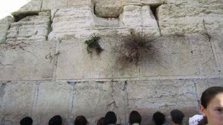 ここへは必ず訪れてください