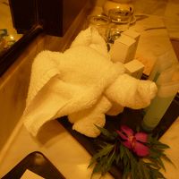 タオルが象に・・・・