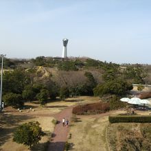 とても広い。敷地内のどこからでもタワーが見える。