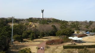 広大な敷地、潮風の吹きぬける公園