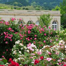 ベルサイユ宮を模した建物があります。