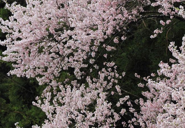 熊野神社