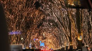 まるで光のシャワーのよう・・・