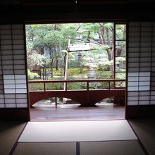 合成じゃないですよ