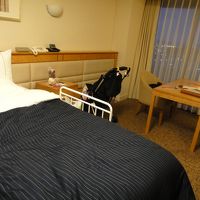 部屋からＴＤＲがみえます！