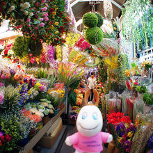 いろいろなものが売ってるね