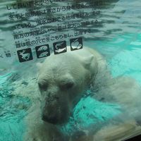 よこはま動物園ズーラシア