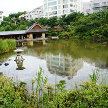静かな日本庭園です