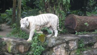 子連れにお勧め