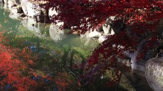 水面の紅葉がステキ！！