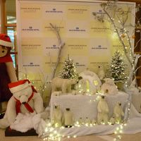 1月なのにクリスマス風