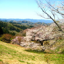 遠くの山並みが絶景(☆o☆)