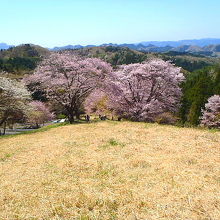 遠くの山波が絶景(☆o☆)