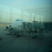 これから乗る飛行機