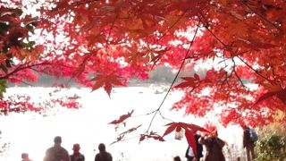 広いので一日いられます