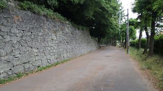 徳島城跡の自然が残されています