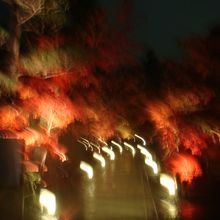 ブレブレですが…