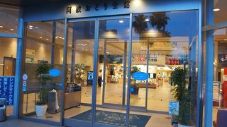 １年中阿波踊りがみられる