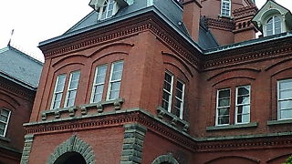 赤が青空に映えてキレイです