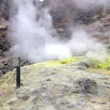 オイニーが・・