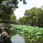 中国四大名園の2つを占める世界遺産「蘇州古典園林」