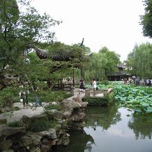 拙政園は蓮と池のバランスが美しい庭園です。