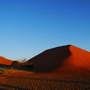 世界最古の砂漠！夕日より朝日を見るため、テントサイトに泊まることをおすすめします！