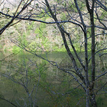 青池手前にある「鶏頭場の池」。