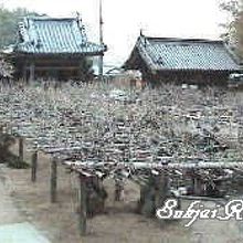 第十一番金剛山藤井寺