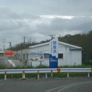 遊歩道やサイクリングコースが整備されています。